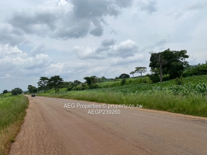 For Sale: Six Prime Residential Stands – Concession All Council Section (2 000 m² each) (Sole Mandate)