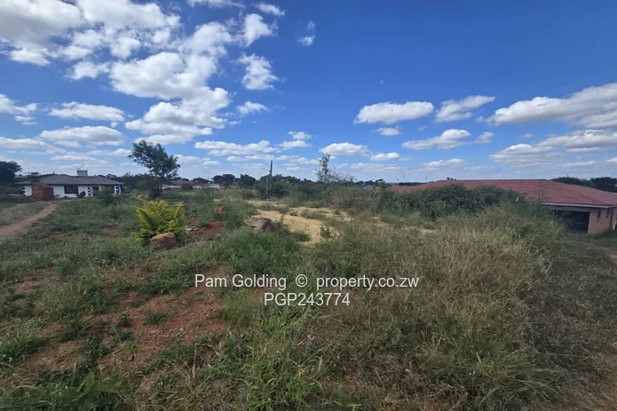 Buena Vista Residential Stand 