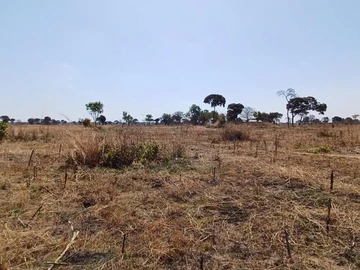 Farm & Agricultural Land