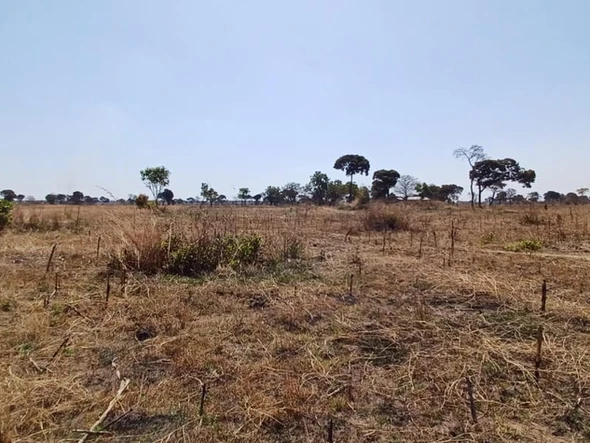 Farm & Agricultural Land