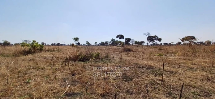 Agricultural Plots  (Sole Mandate)