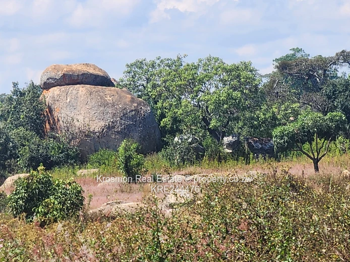 1,000m² Stand in Marondera 