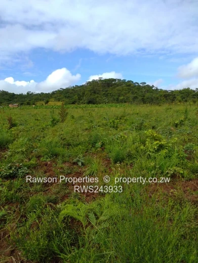 6 Hactare Plot in Bindura!!