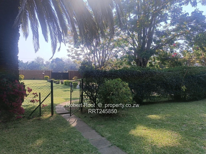 2 bed flat in Avondale