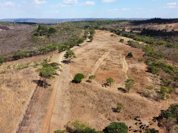 Farm & Agricultural Land