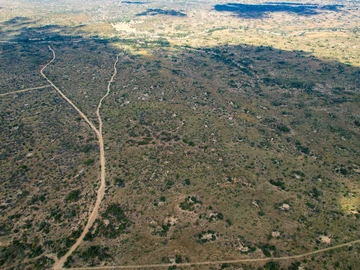 Farm & Agricultural Land