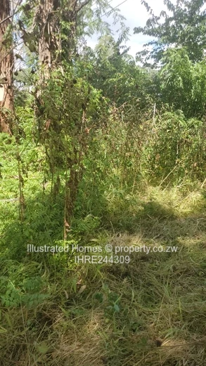 Opportunity not to miss