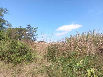 Land For Cluster Homes