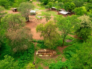 Farm & Agricultural Land