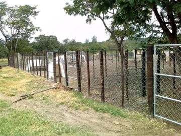 Farm & Agricultural Land