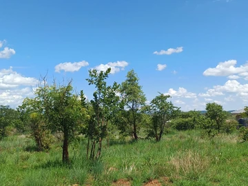 Commercial & Industrial Land