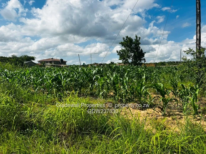 1000sqm stand for sale in Charlotte Brooke with deeds