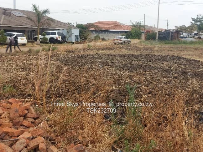 Maranatha Park Stand For Sale