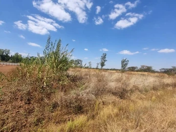 Commercial & Industrial Land