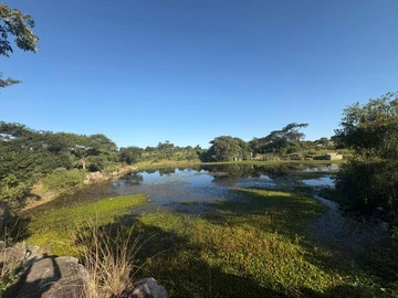 Farm & Agricultural Land