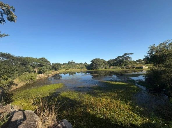 Farm & Agricultural Land