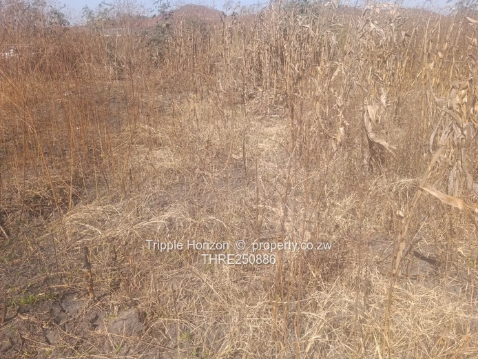 200 m² Stand in Warren Park — Water, Sewer, Gravel Road