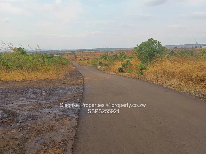Exclusive Large Residential Stands For Sale – Pomona, Buckland Terraces