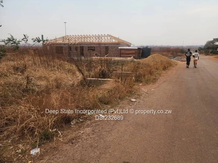 Glaudina stand for sale. 