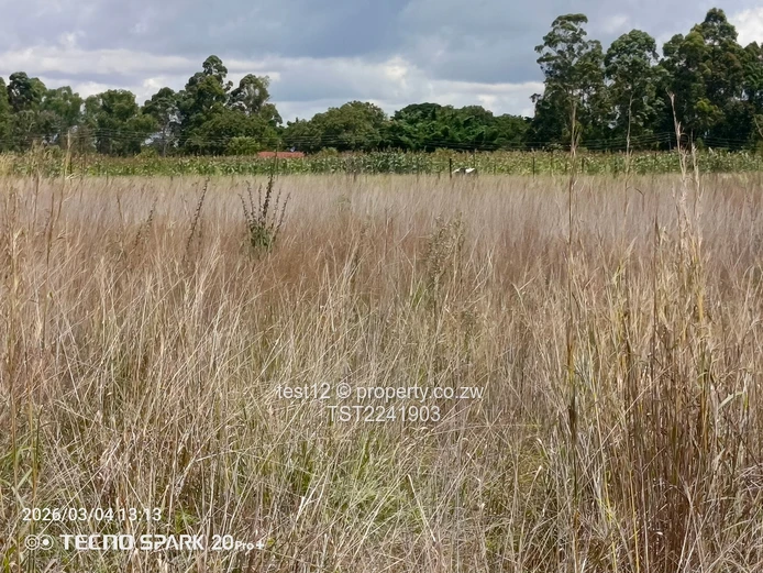 Ruwa - Goromonzi Plot for sale  (Sole Mandate)