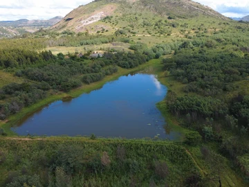 Farm & Agricultural Land