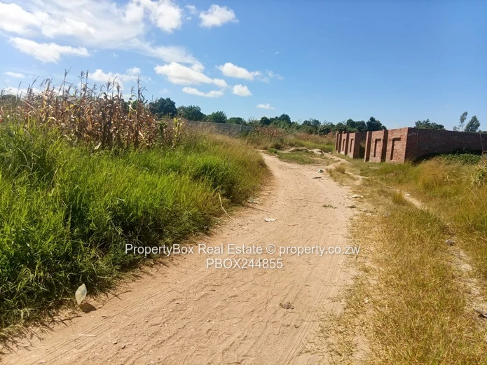 Vacant Stand for Sale in Hatfield Estate