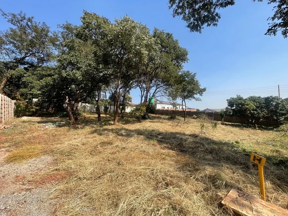 Stands & Residential Land