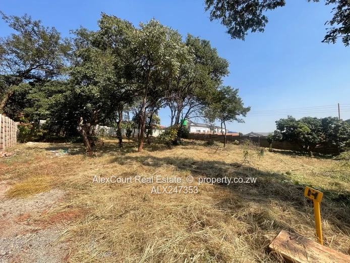 A Hilltop View! In Cold Comfort