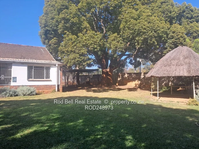 Spacious 2- Garden Flat In Prime Location
