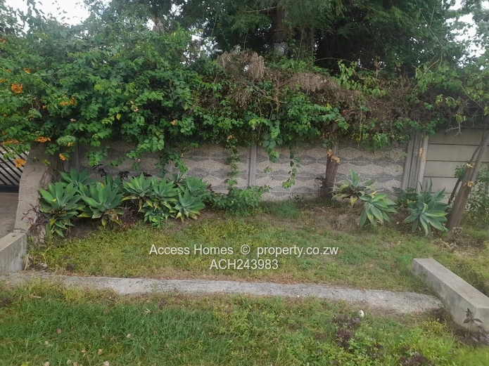 Hatfield Stand for Sale