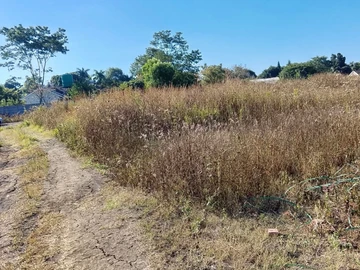 Land