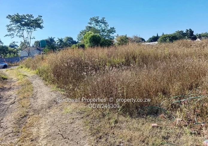5000sqm stand for sale in Blufhill