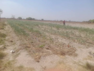 Farm & Agricultural Land