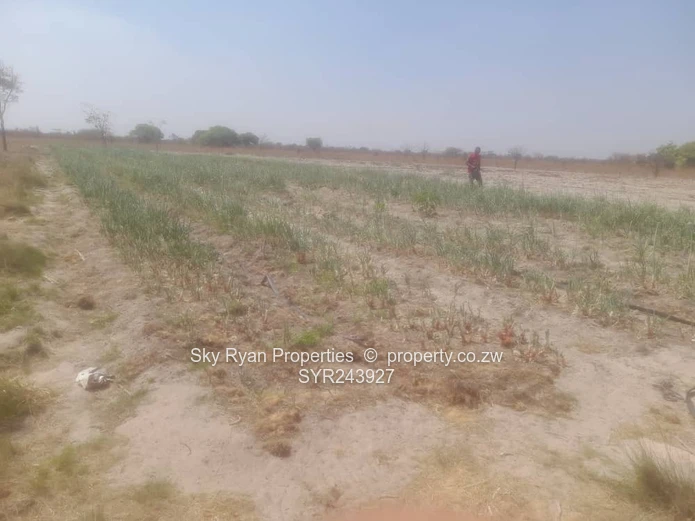 Beatrice Farm For Sale 