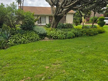 Commercial & Industrial Land