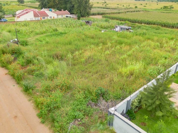 Stands & Residential Land