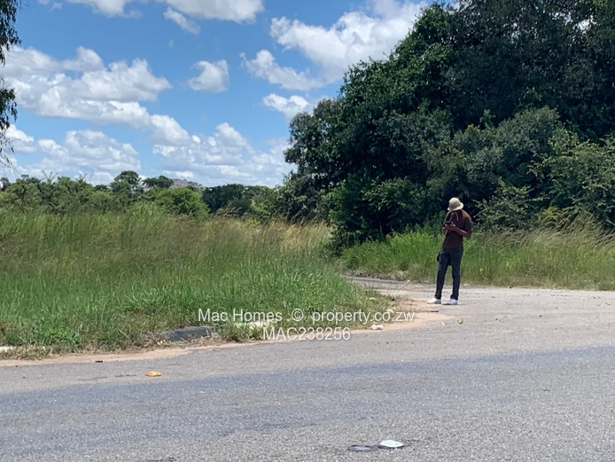 Rusape Land For Sale (Sole Mandate)