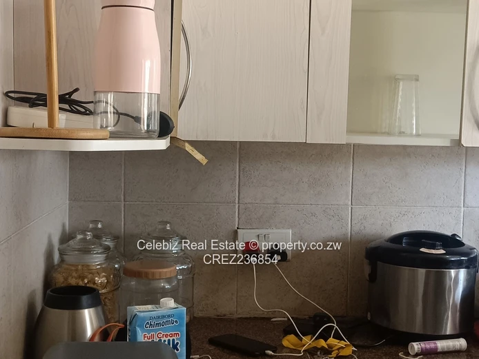 Chadcombe garden flat to rent