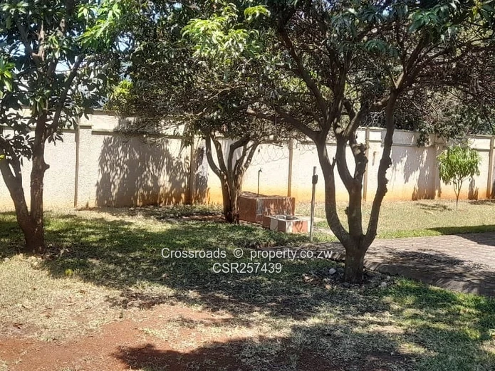 4-Bed Mt Pleasant Heights Home — ,Prolific Borehole  10 000 litre tank & Solar backup