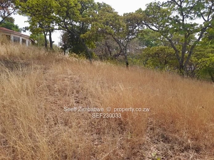 Exclusive Glen Lorne Canvas: Your Dream Home Awaits!