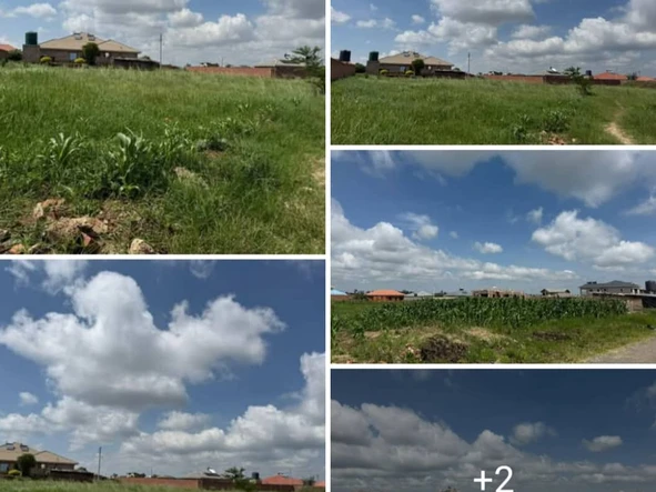Land