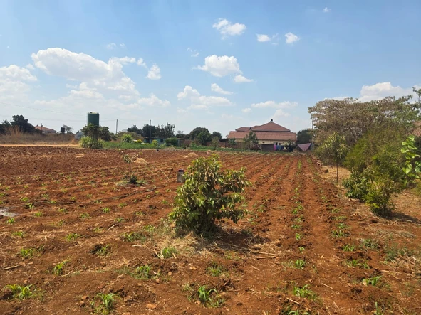 Stands & Residential Land