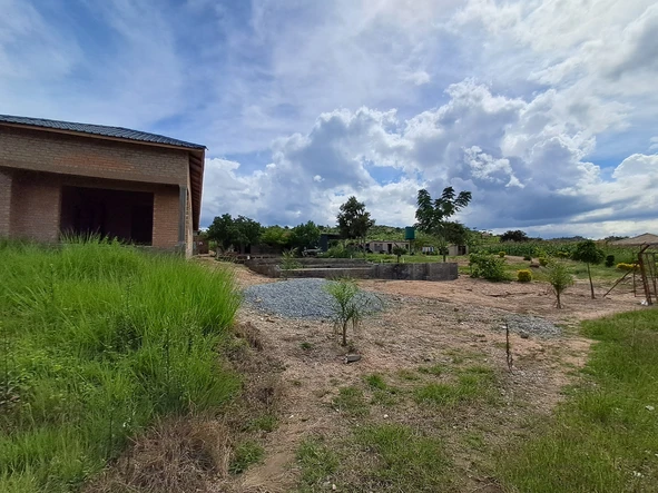 Stands & Residential Land