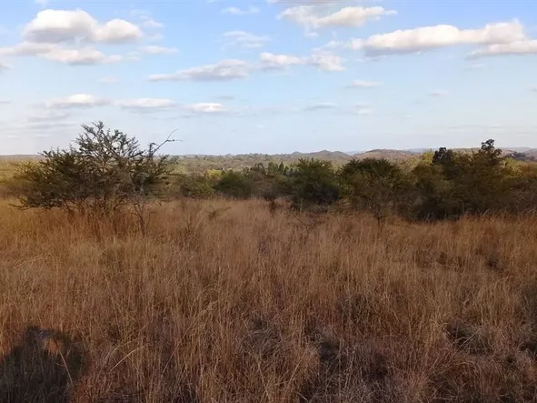 Farm & Agricultural Land