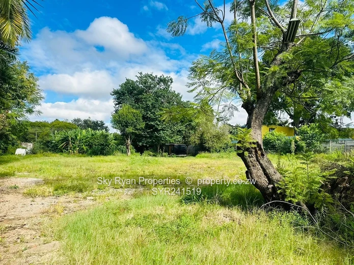 Avondale Stand For Sale