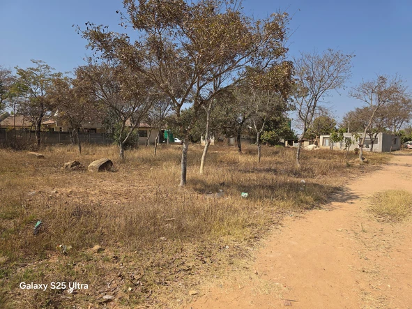 Stands & Residential Land