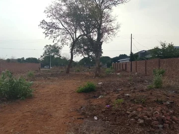 Stands & Residential Land