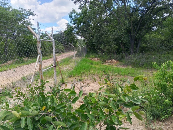 Farm & Agricultural Land