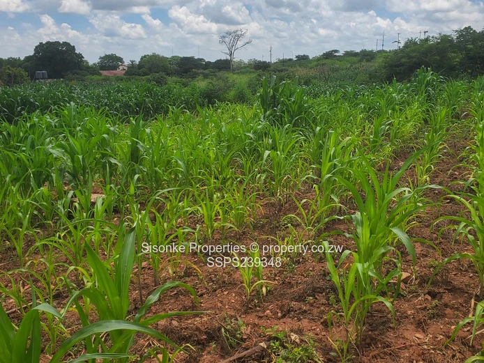 9,600 sqm Roadside Industrial Land , Chinhoyi
