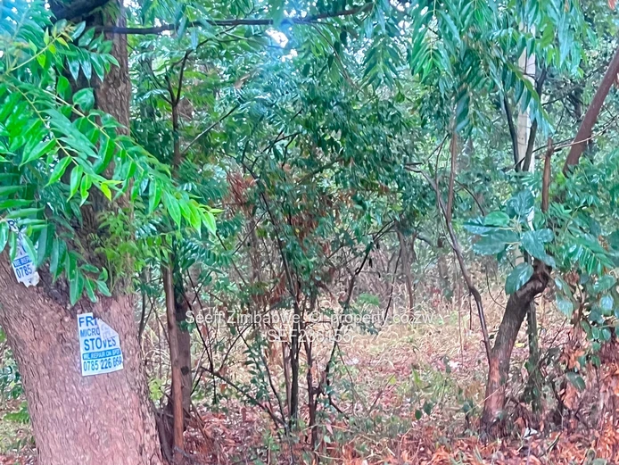 Land For Sale In Mandara